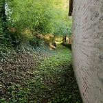 아파트 Le Petit Manoir Vaillac Fonmourenne